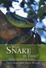 What Snake is That?