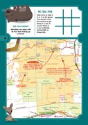 Example Page