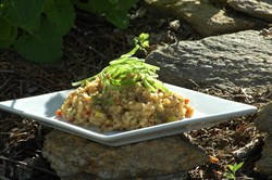 Spicy Thai Peanut Sauce Serving Suggestion