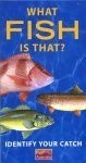 What Fish Is That?