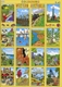 Western Australia Colouring Book