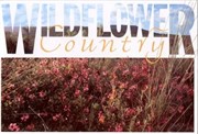Wildflower Country