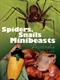Spiders Snails and Other Minibeasts of Australia