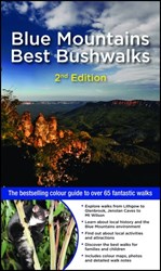 Blue Mountains Best Bushwalks