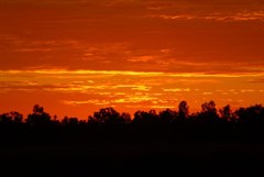 A glorious way to greet the day