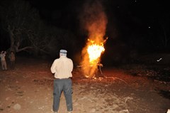 Night Signal Flare