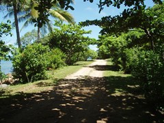 THE ESPLANADE