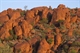 Tower Rock Tours