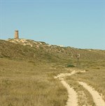 Trek%2bgoing%2bthrough%2bNingaloo