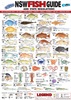 NSW Fish ID Card