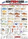 NSW Fish ID Card