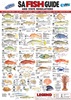 SA Fish ID Card