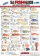 SA Fish ID Card