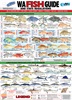 WA Fish ID Card