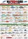WA Fish ID Card
