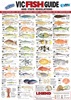 VIC Fish ID Card