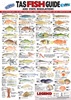 TAS Fish ID Card