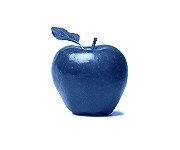 Health Blogs