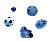 Sport Blogs
