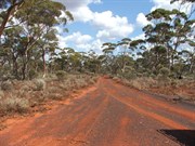Bullfinch to Goongarrie Station
