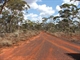 Bullfinch to Goongarrie Station