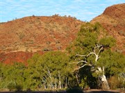West Hamersley Ranges and Woongarra Pool
