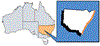 NSW Coast