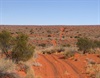 Simpson Desert French Line