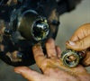 Oils and Lubes