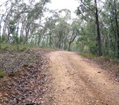 Tallaganda National Park
