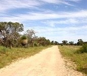 Wilbinga
