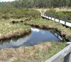 Barrington Tops