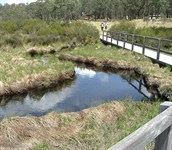 Barrington Tops