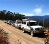Tag Along Tours