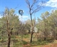 Eagle Hwy