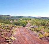 Puntawarri Track