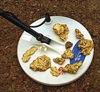 Prospecting for Gold