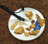 Article Spotlight - Prospecting for Gold
