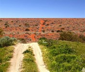 Article Spotlight - 4WD Treks