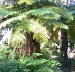 Ka Ka Mundi - Carnarvon NP