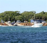 Article Spotlight - Boat Registration  Licensing