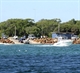 Boat Registration & Licensing