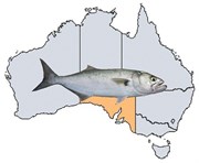 Fishing Spots in SA