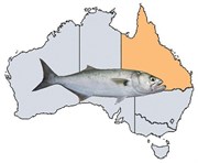 Article Spotlight - Fishing Spots in QLD