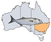 Fishing Spots in NSW & ACT