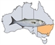 Fishing Spots in NSW & ACT