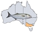 Fishing Spots in VIC