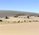 Warren Beach Dunes