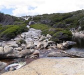 Climes Track
