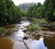 Arthur River to Corinna